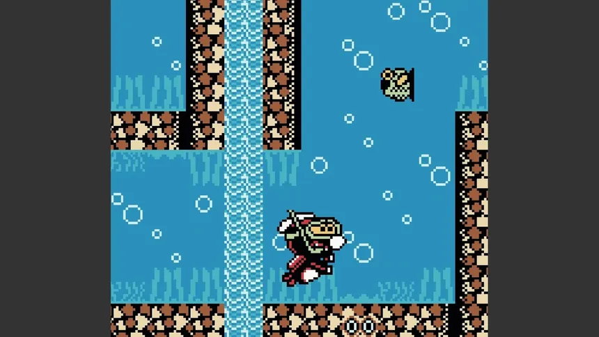 Скриншот 3 к игре Rabidja's Revenge