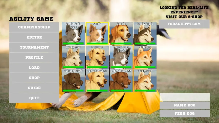 Скриншот 1 к игре Agility Game