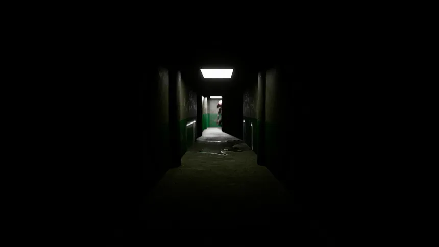Скриншот 2 к игре Liminal:The Forgotten Maze