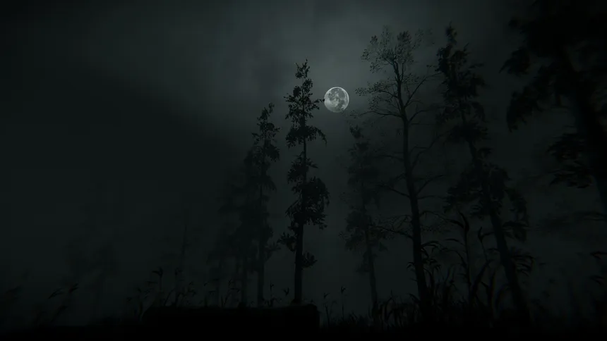 Скриншот 5 к игре Withered Haven
