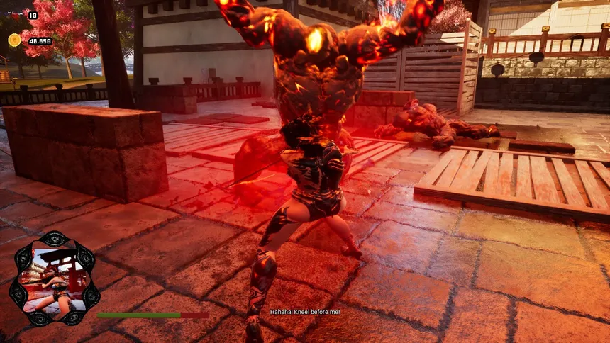 Скриншот 2 к игре Pure Instinct Katana