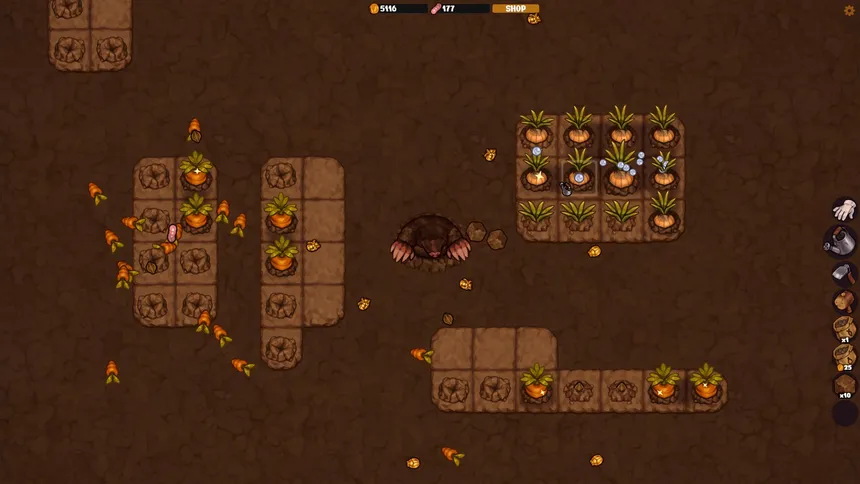Скриншот 2 к игре VEGEMANCER