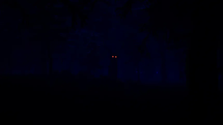 Скриншот 4 к игре 88 NIGHTS IN THE FOREST