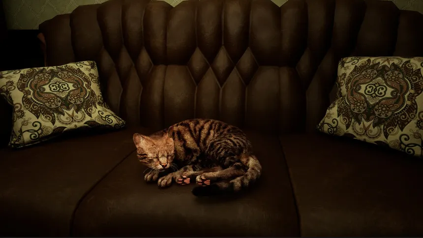 Скриншот 1 к игре Meowmories