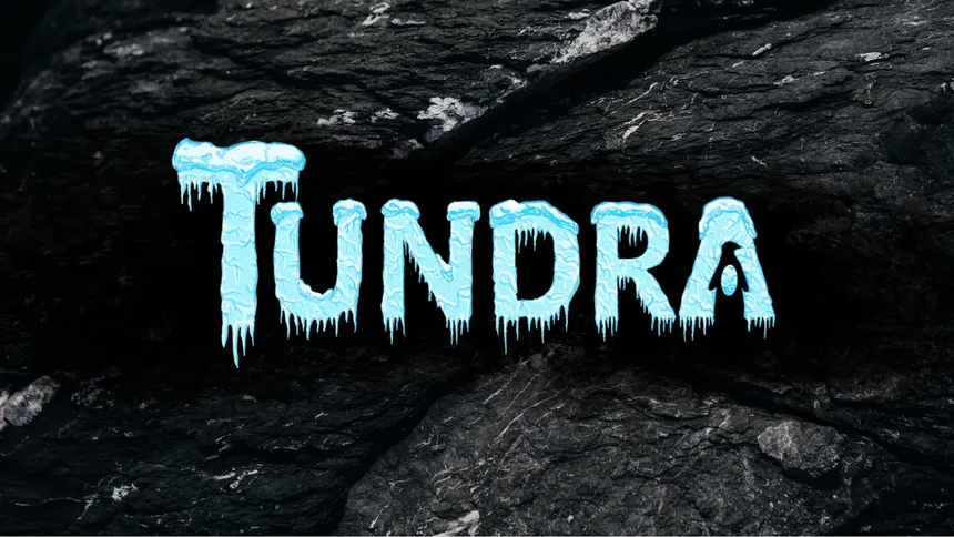Скриншот 1 к игре Tundra