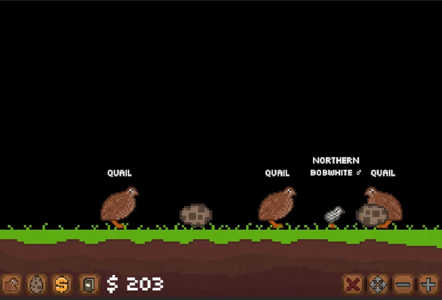 Скриншот 2 к игре Quail Game