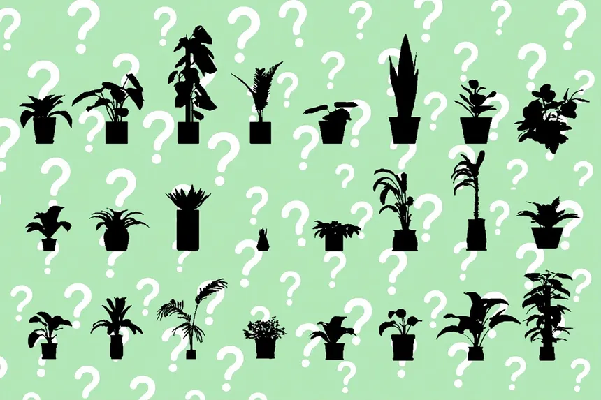 Скриншот 2 к игре A Game About PLANT