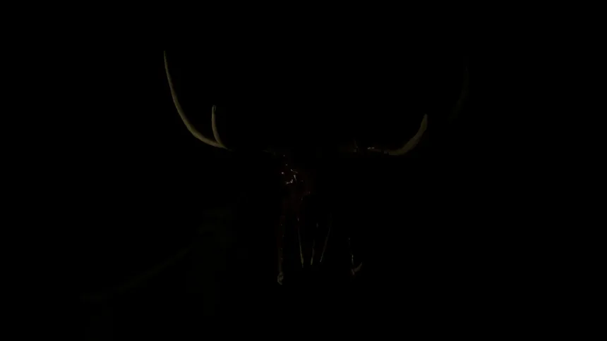 Скриншот 6 к игре THE SCREAM OF DARKNESS