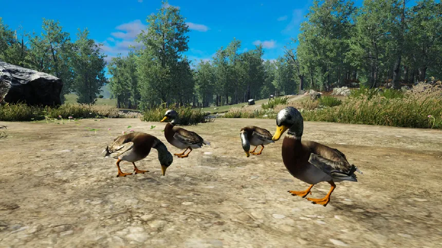 Скриншот 2 к игре Bird Game 3 Online