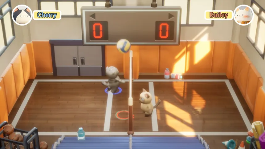 Скриншот 3 к игре PawlleyBall