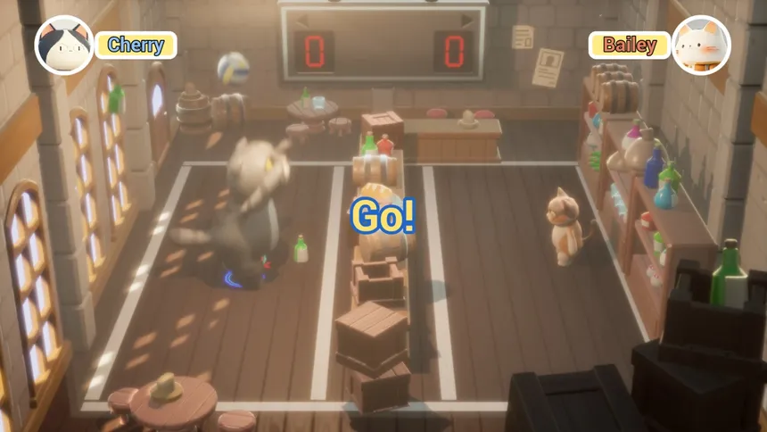 Скриншот 4 к игре PawlleyBall