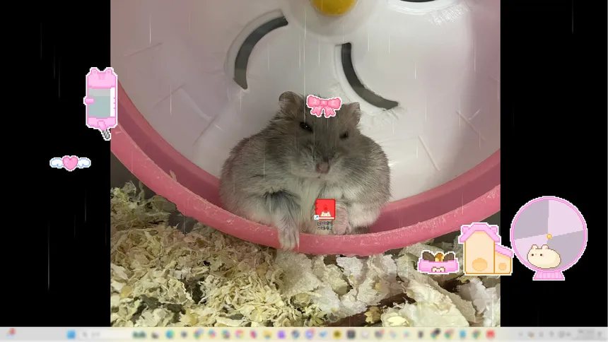 Скриншот 5 к игре Hamster’s Sticker Book