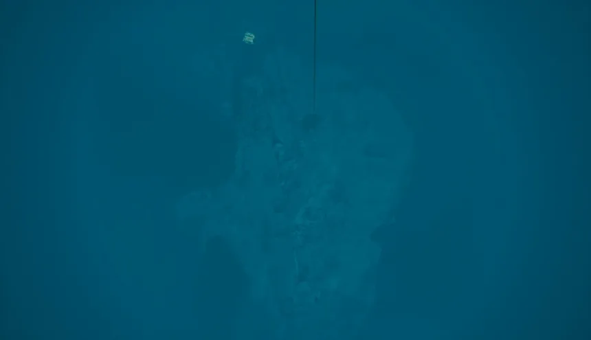 Скриншот 2 к игре Kodas Nereus
