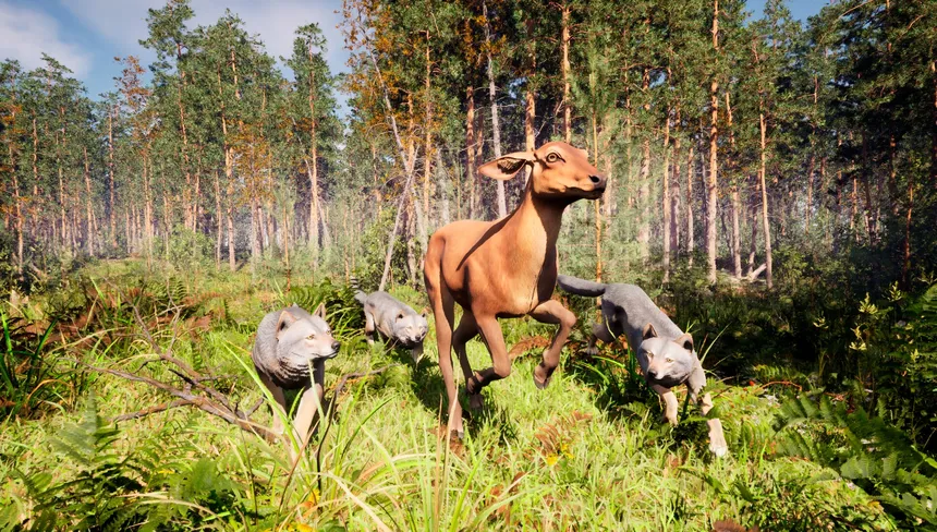 Скриншот 1 к игре Susia - Wolf Life Simulator