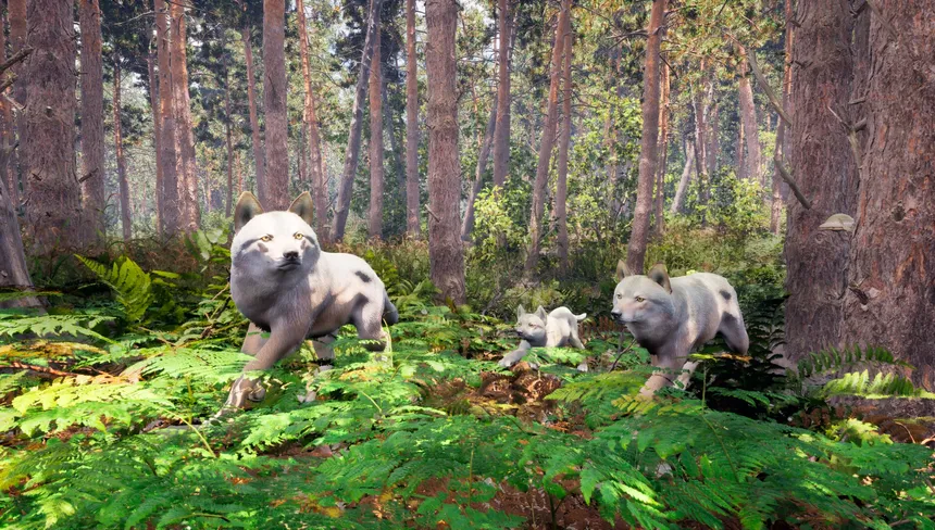 Скриншот 3 к игре Susia - Wolf Life Simulator