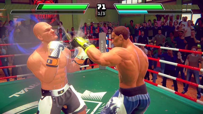 Скриншот 1 к игре Casual Sport Series: Boxing