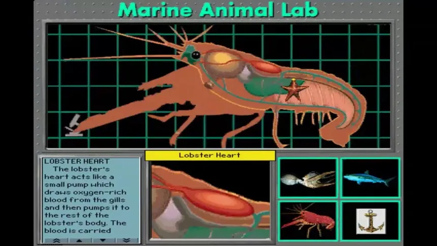 Скриншот 4 к игре Undersea Adventure