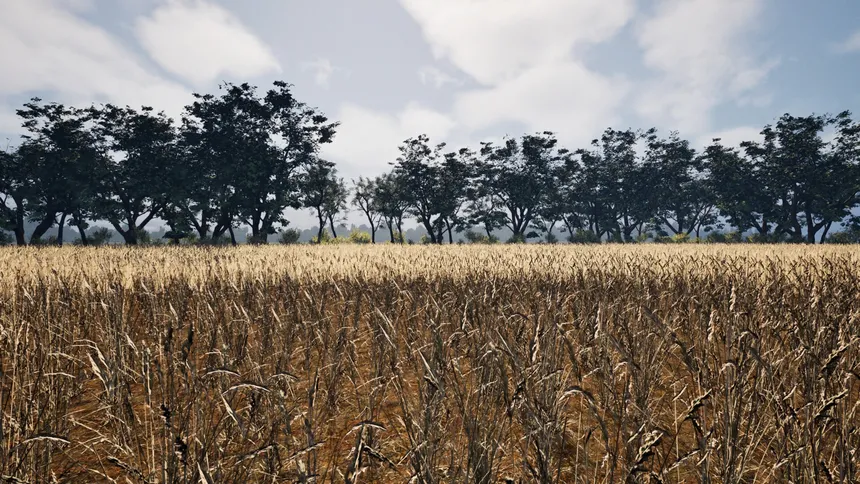 Скриншот 8 к игре Deep in the Fields