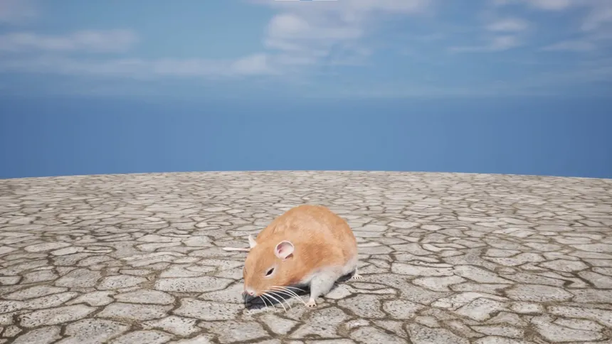 Скриншот 1 к игре Labyrinth of Whiskers