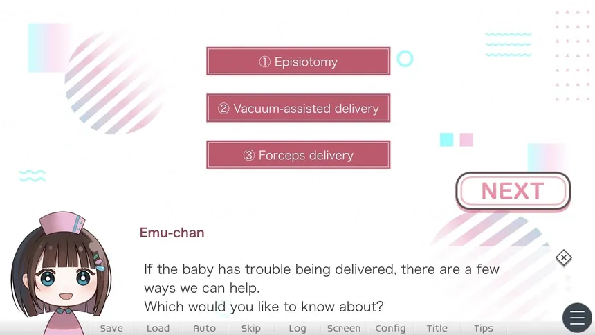 Скриншот 3 к игре First Steps in Childbirth（はじめての出産）
