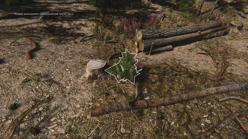 Скриншот 3 к игре Herbalist Roman