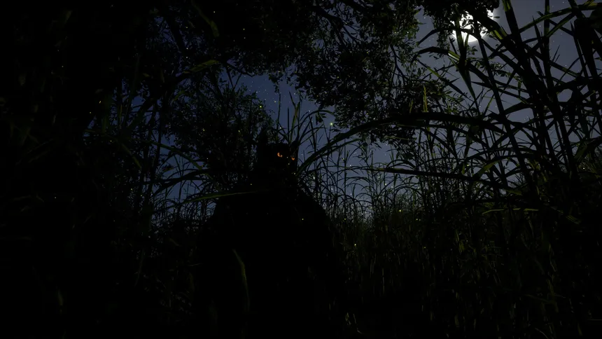 Скриншот 2 к игре Whispers of the Tallgrass