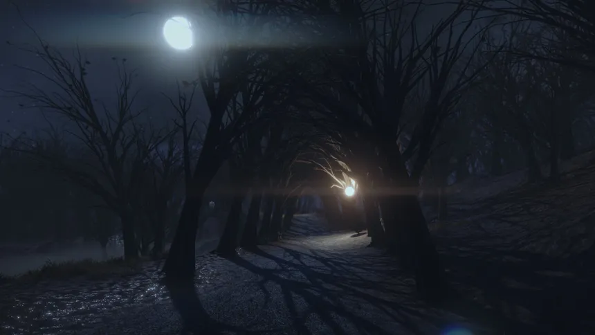 Скриншот 7 к игре The Night Walk