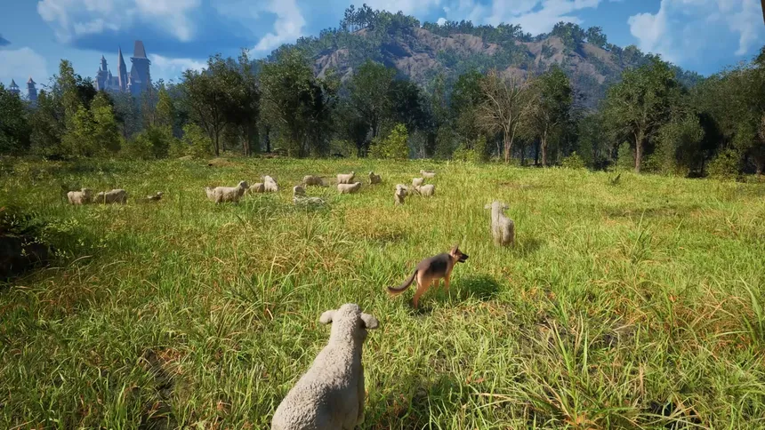 Скриншот 1 к игре Medieval Shepherd