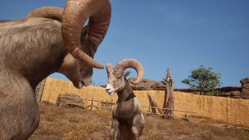 Скриншот 4 к игре Ram Fights