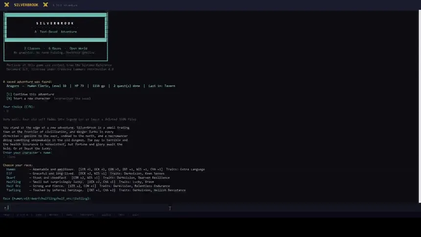 Скриншот 1 к игре Silverbrook: a Text-Based RPG