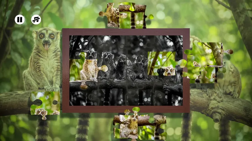 Скриншот 4 к игре Puzzles: Monkey
