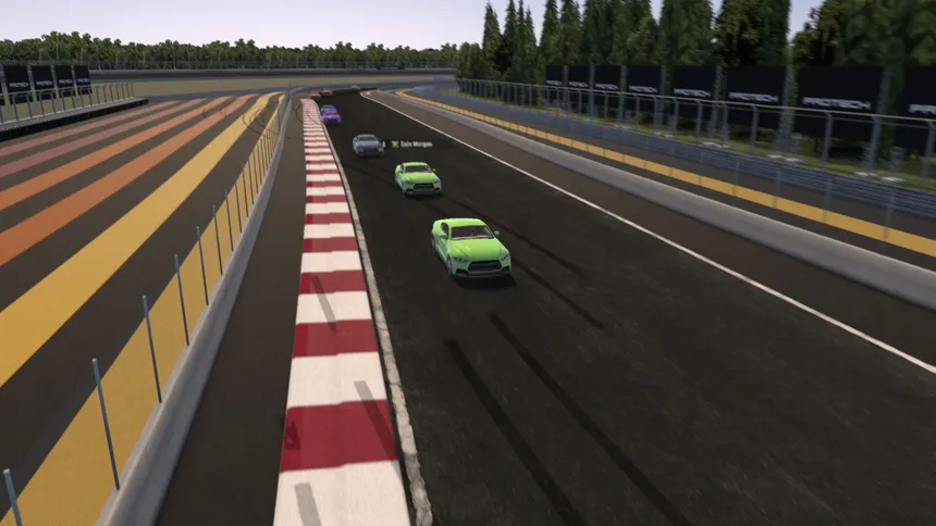 Скриншот 6 к игре SIM SPORTS RACING