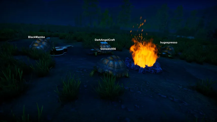 Скриншот 4 к игре Turtles on Crocodiles