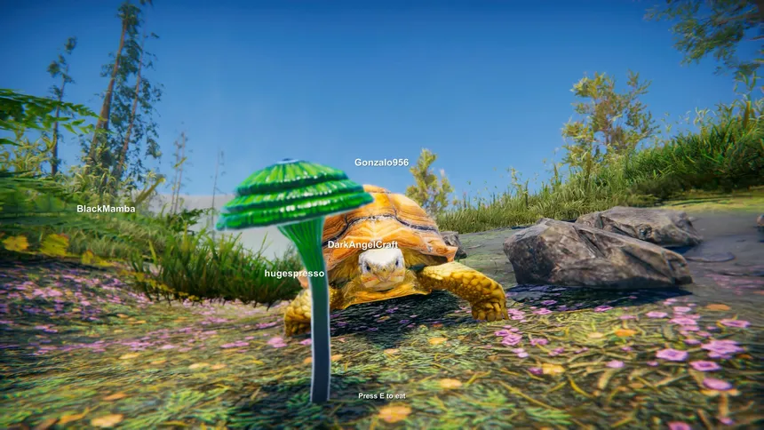 Скриншот 7 к игре Turtles on Crocodiles