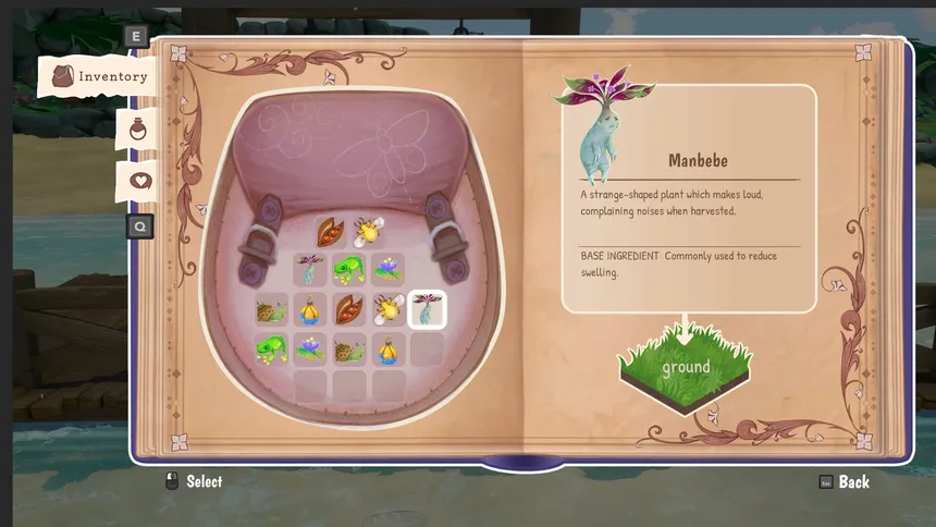Скриншот 8 к игре Toil & Trubble
