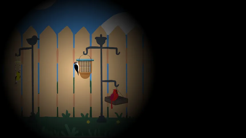 Скриншот 6 к игре Backyard Birdwatching