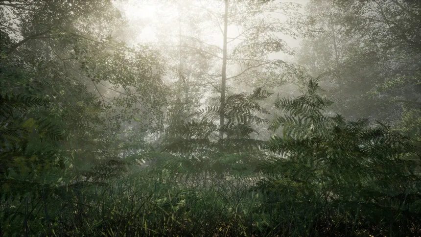 Скриншот 2 к игре Obey the Rules: Forest
