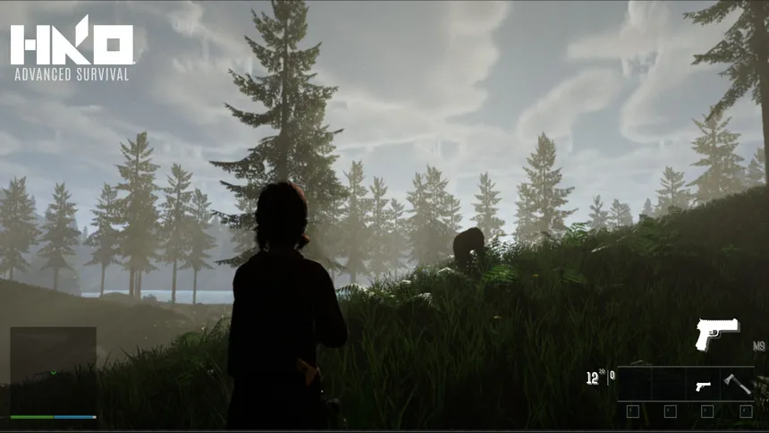 Скриншот 1 к игре HKO: Advanced Survival