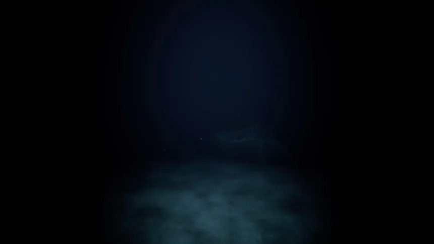 Скриншот 3 к игре Project Into the Void