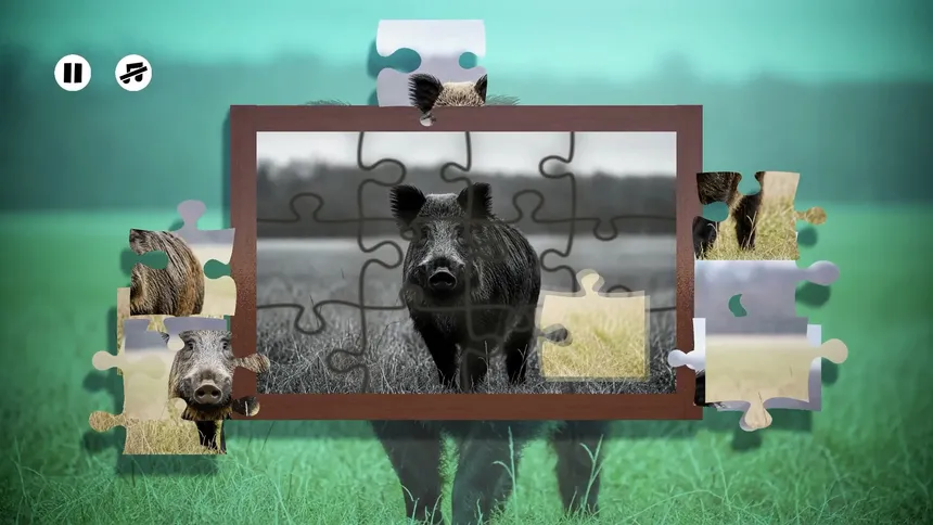 Скриншот 1 к игре Puzzles Boars