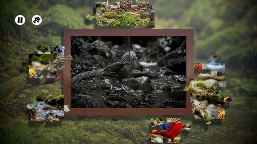 Скриншот 4 к игре Puzzles Birds