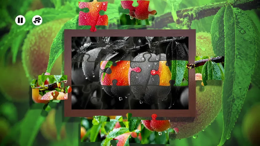 Скриншот 4 к игре Puzzles Fruit