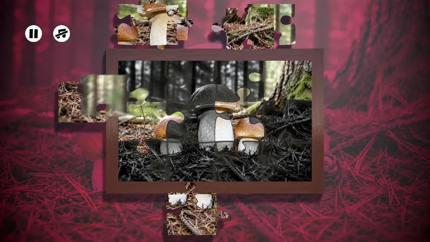 Скриншот 1 к игре Puzzles Mushroom