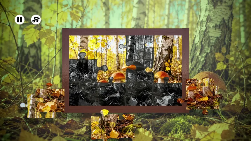 Скриншот 5 к игре Puzzles Mushroom