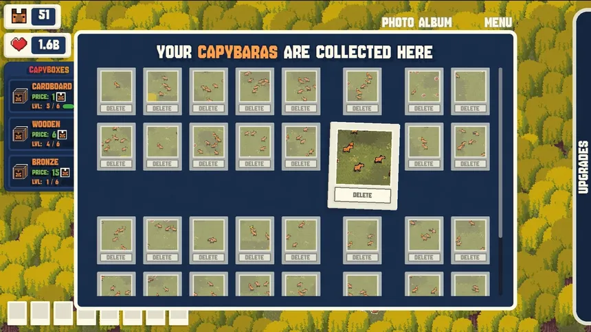 Скриншот 4 к игре CapyCam