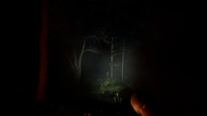Скриншот 6 к игре Echo Ridge