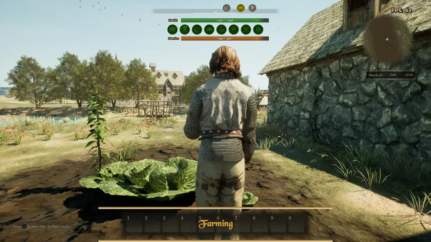 Скриншот 1 к игре The Medieval Journey