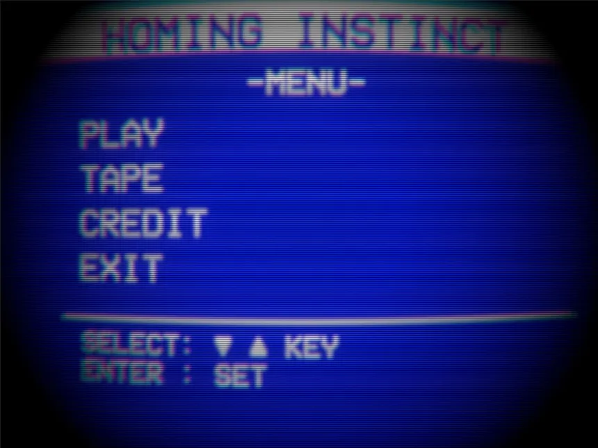 Скриншот 1 к игре Homing Instinct