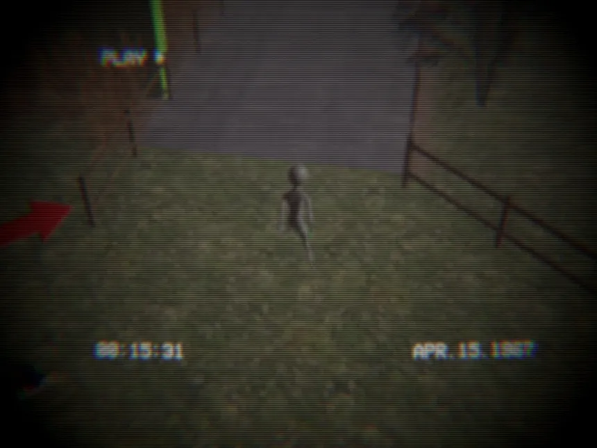 Скриншот 2 к игре Homing Instinct