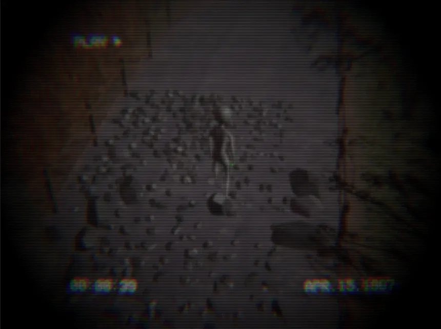Скриншот 3 к игре Homing Instinct